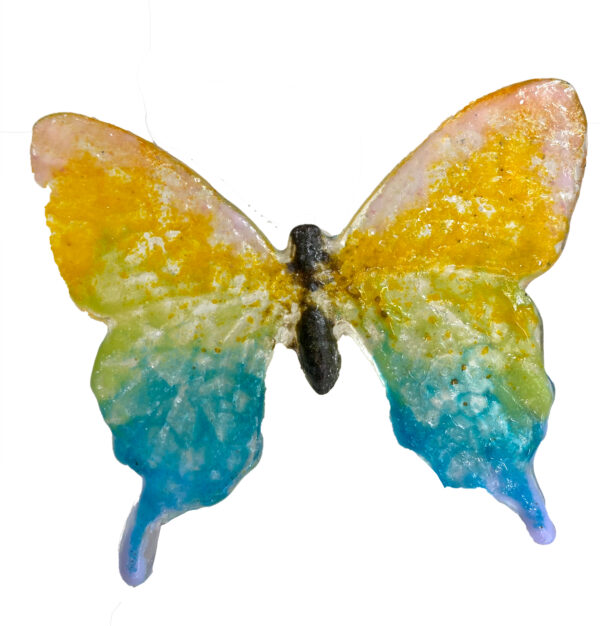 Rainbow Butterfly - Image 2