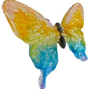 Rainbow Butterfly