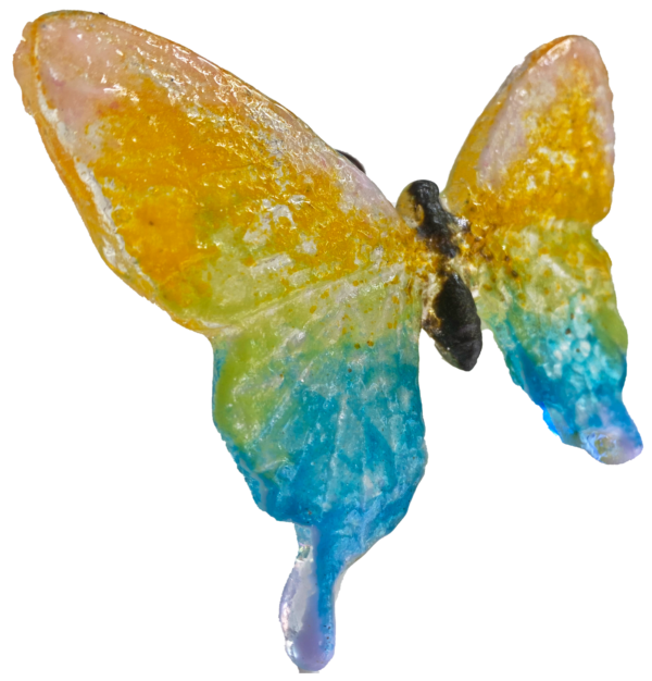 Rainbow Butterfly